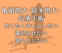 亀頭増大・陰茎増大