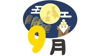 ピコフラクショナルレーザーとダーマペンの効果を比較しててみた。