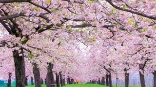 2023年4月一部施術価格改定情報のお知らせ