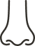 鼻