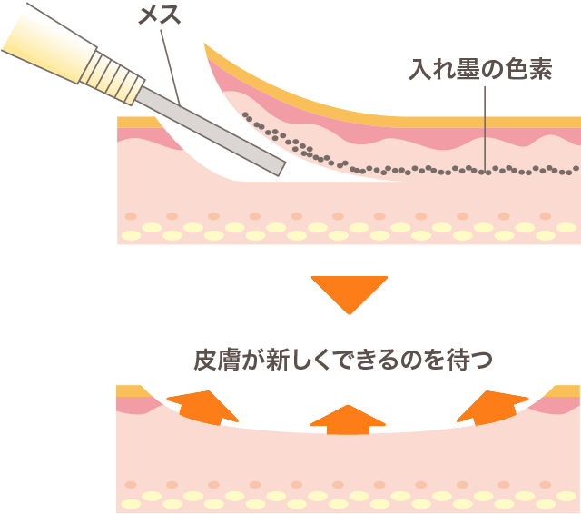 6月キャンペーンのお知らせ